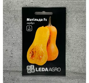 Гарбуз Матільда F1 5 шт насіння пакетоване Leda Agro